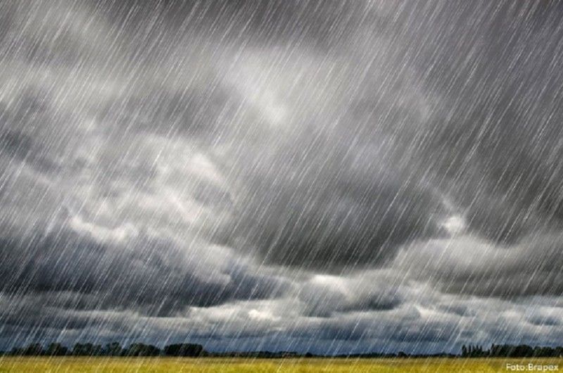 imagem do post Chuva no Norte, seca no Centro-Oeste e calor histórico na Rússia: veja como o clima vai impactar o agro nesta semana