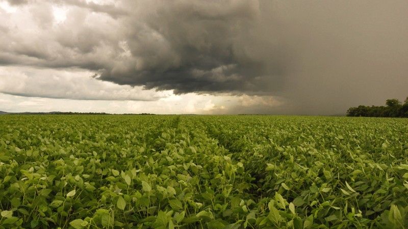 imagem do post Instabilidade Climática no Brasil em Abril de 2025  Finalizando março, o Brasil inic