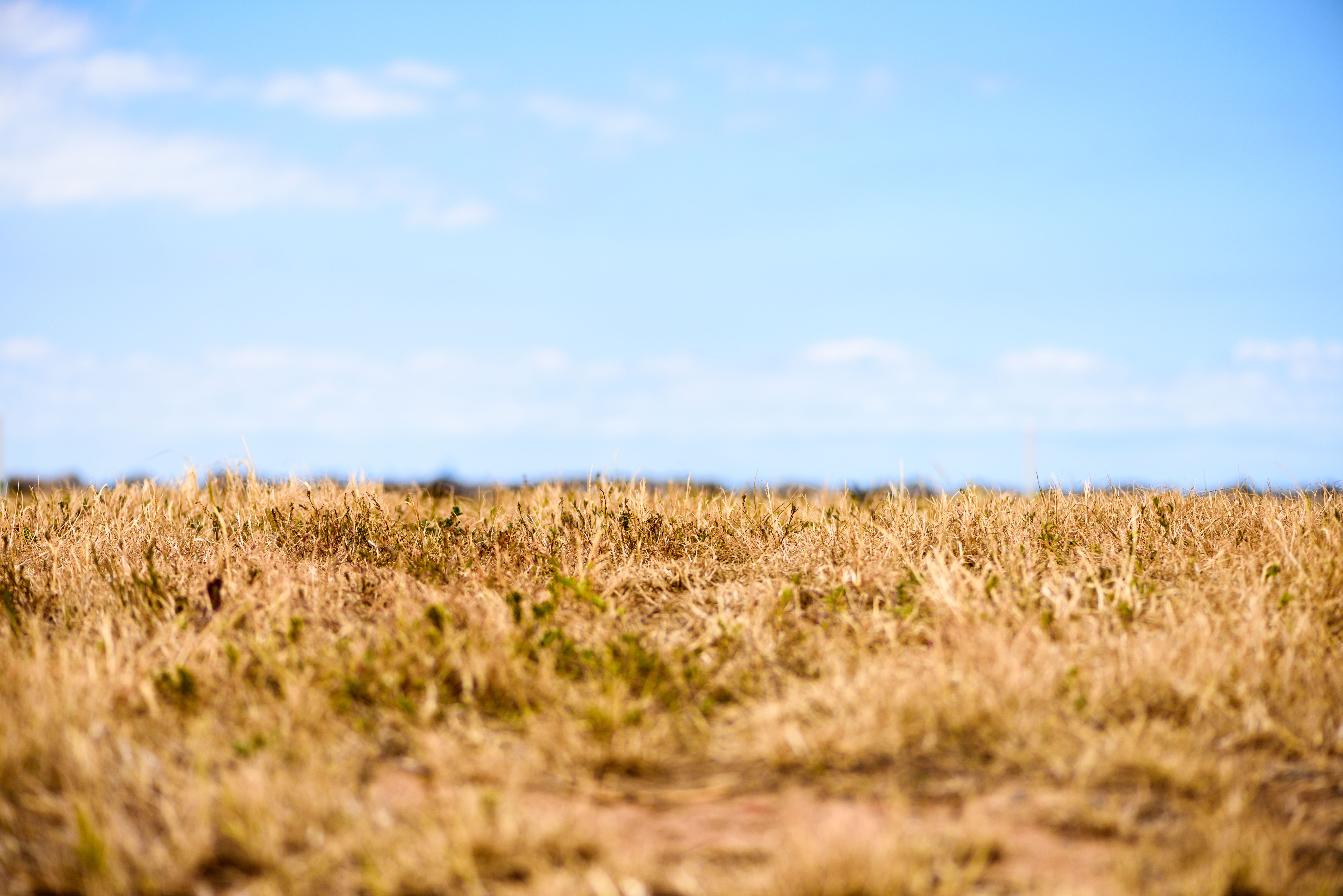 imagem do post América Latina Enfrenta Nova Onda de Calor e Extremos Climáticos