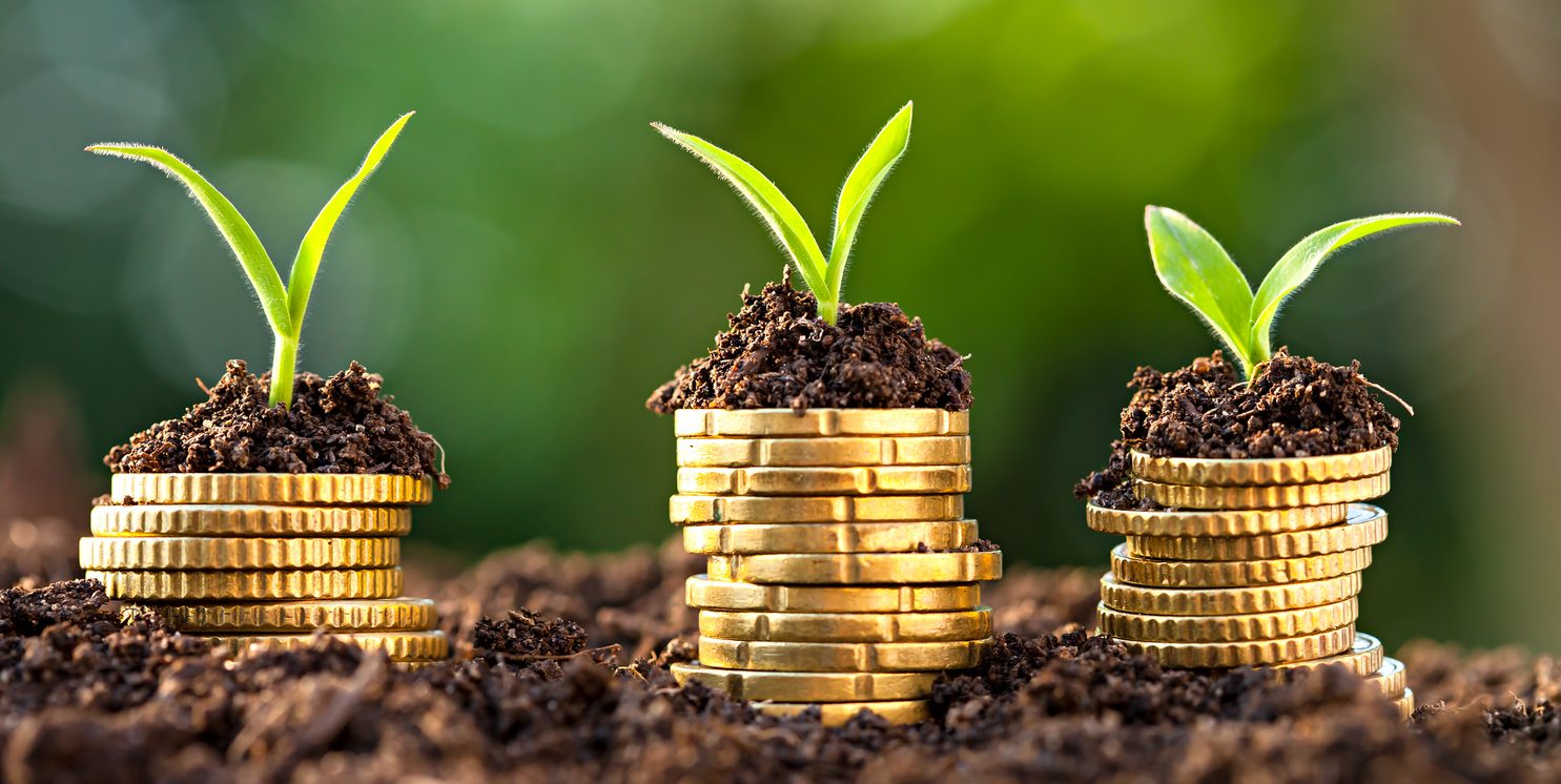 imagem do post Investimentos no Agronegócio: Como Aplicar no Setor Agrícola