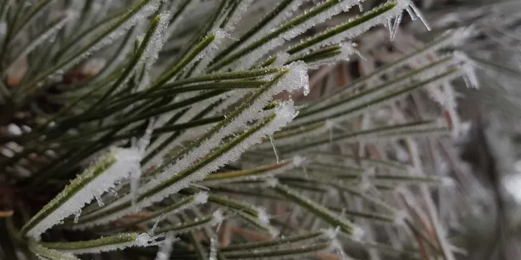 imagem do post Alerta de frio e geada generalizada no Sul