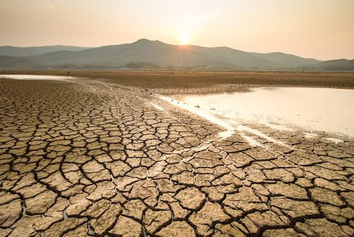 imagem do post Estiagem no Rio Grande do Sul: La Niña Agrava Situação nas Lavouras